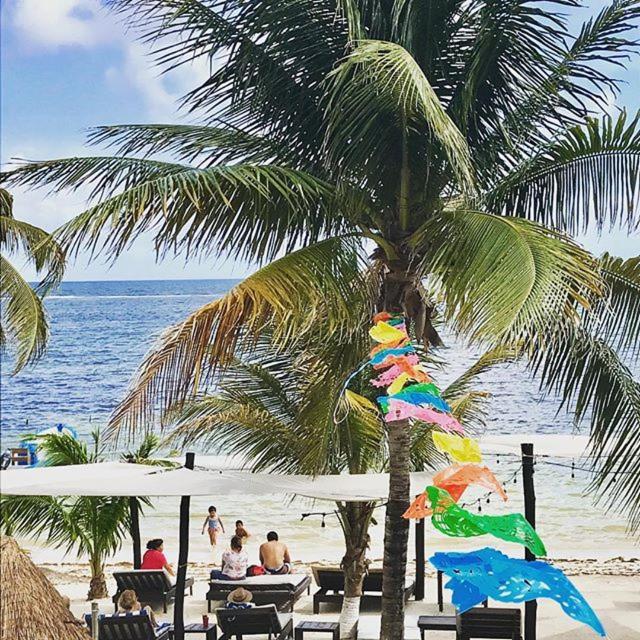 Hotel Luna De Plata Mahahual Luaran gambar